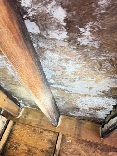 twin pillars restoration austin tx 2026 03 11T16:44:36.877739Z 019cddc8 fe77 714d 9a33 dce1a93e69e6